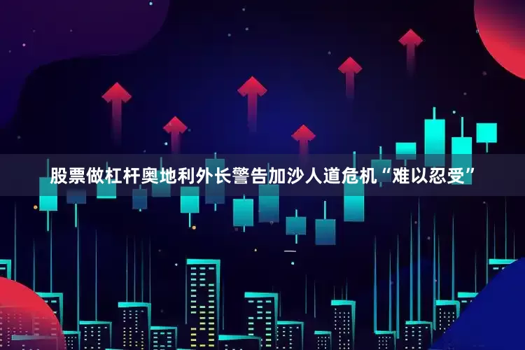 股票做杠杆奥地利外长警告加沙人道危机“难以忍受”