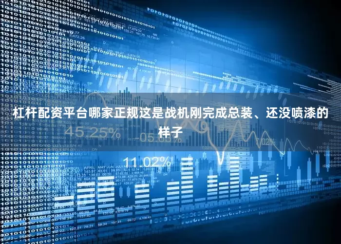 杠杆配资平台哪家正规这是战机刚完成总装、还没喷漆的样子