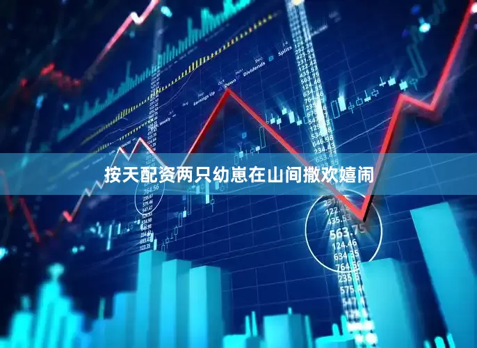 按天配资两只幼崽在山间撒欢嬉闹