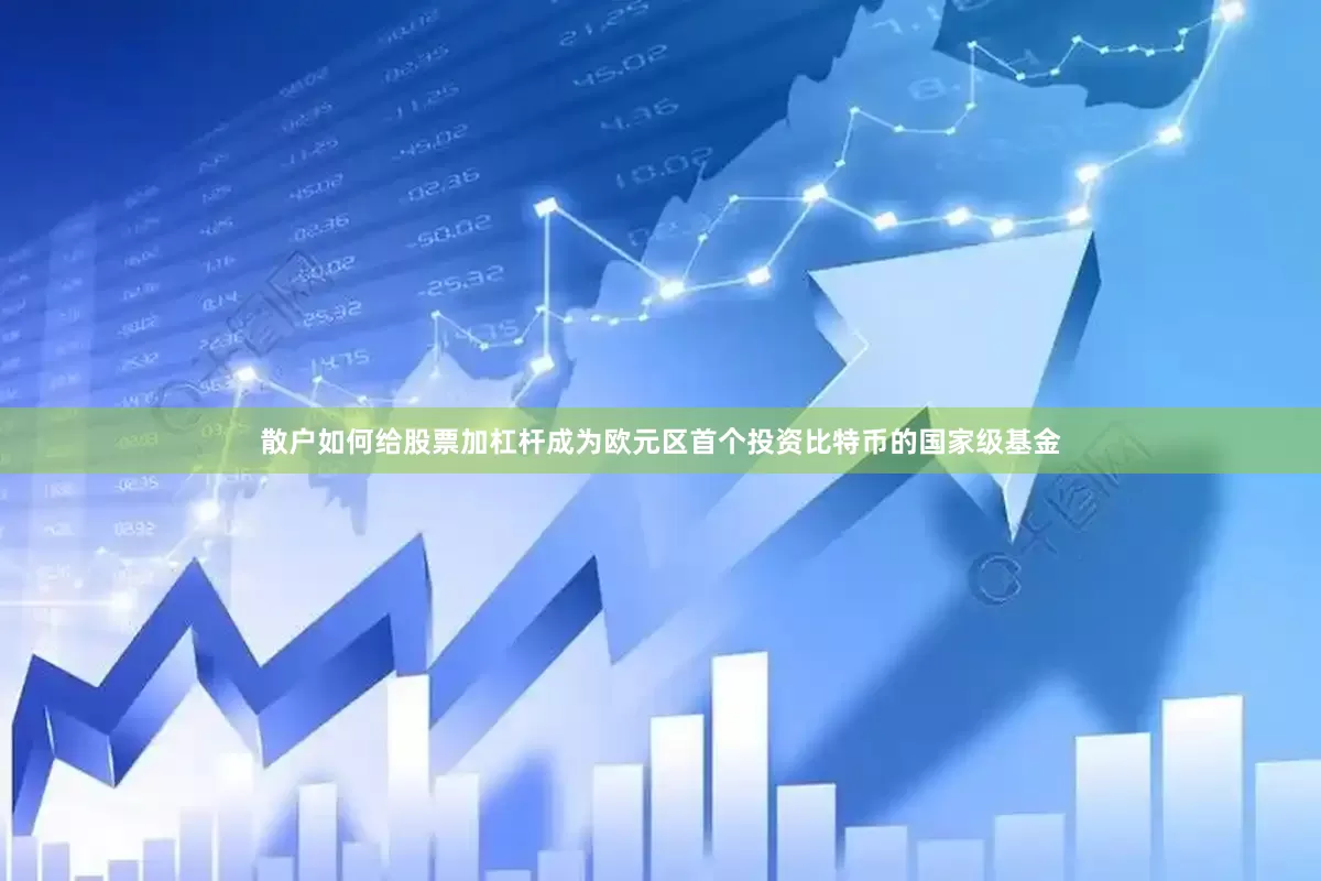 散户如何给股票加杠杆成为欧元区首个投资比特币的国家级基金