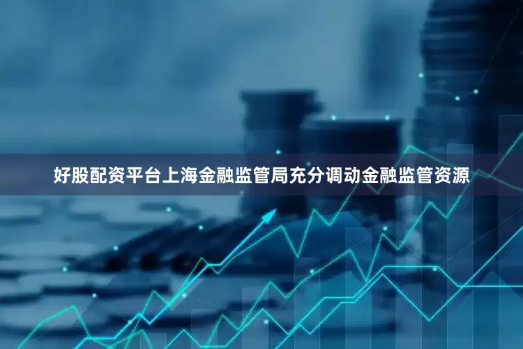 好股配资平台上海金融监管局充分调动金融监管资源